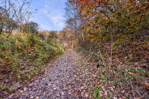 Gemeinde Julbach Landkreis Rottal-Inn Schlossberg Herbst (Dirschl Johann) Deutschland PAN